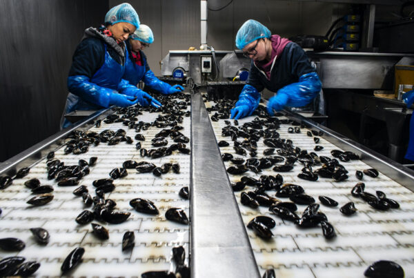 seafood processing
