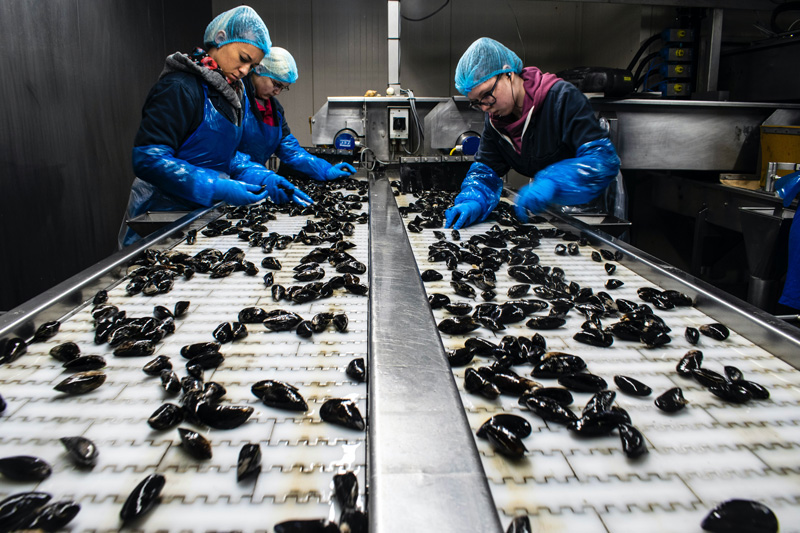 seafood processing
